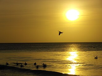 Ocaso en Manzanillo
