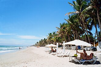Tumbonas bajo las palmeras en Playa El Agua